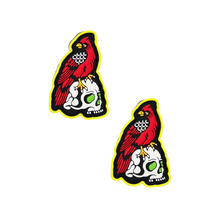 Load image into Gallery viewer, Bird Skull Patches