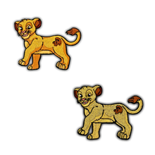 Load image into Gallery viewer, Pony Patches