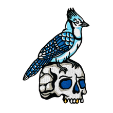 Load image into Gallery viewer, Bird Skull Patches
