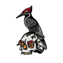 Load image into Gallery viewer, Bird Skull Patches
