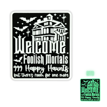 Load image into Gallery viewer, Acrylic Patches
